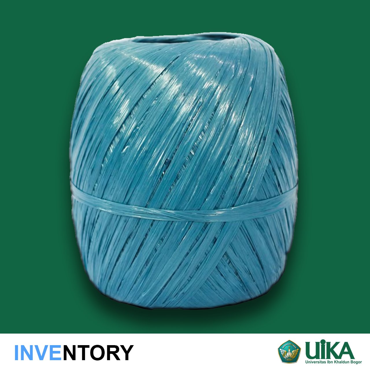 Tali Rapia/Tali Plastik